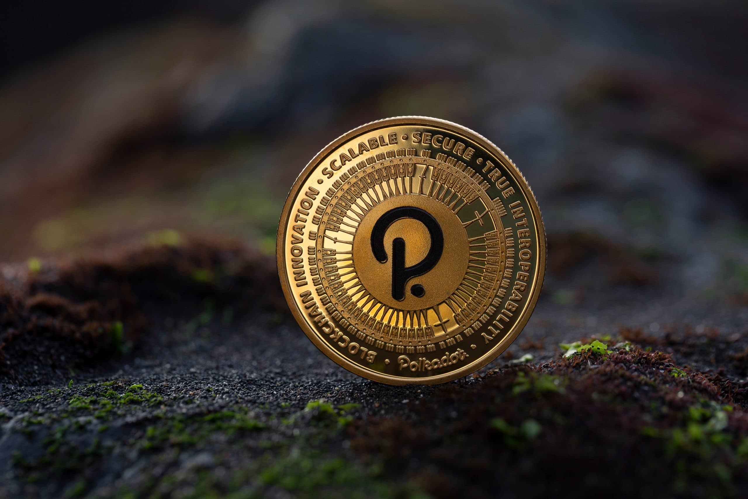 Polkadot coin
